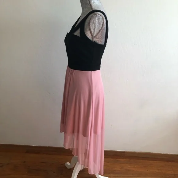 Pompous Girly Black and Pink Fit Flare Dress - Picture 2 of 8
